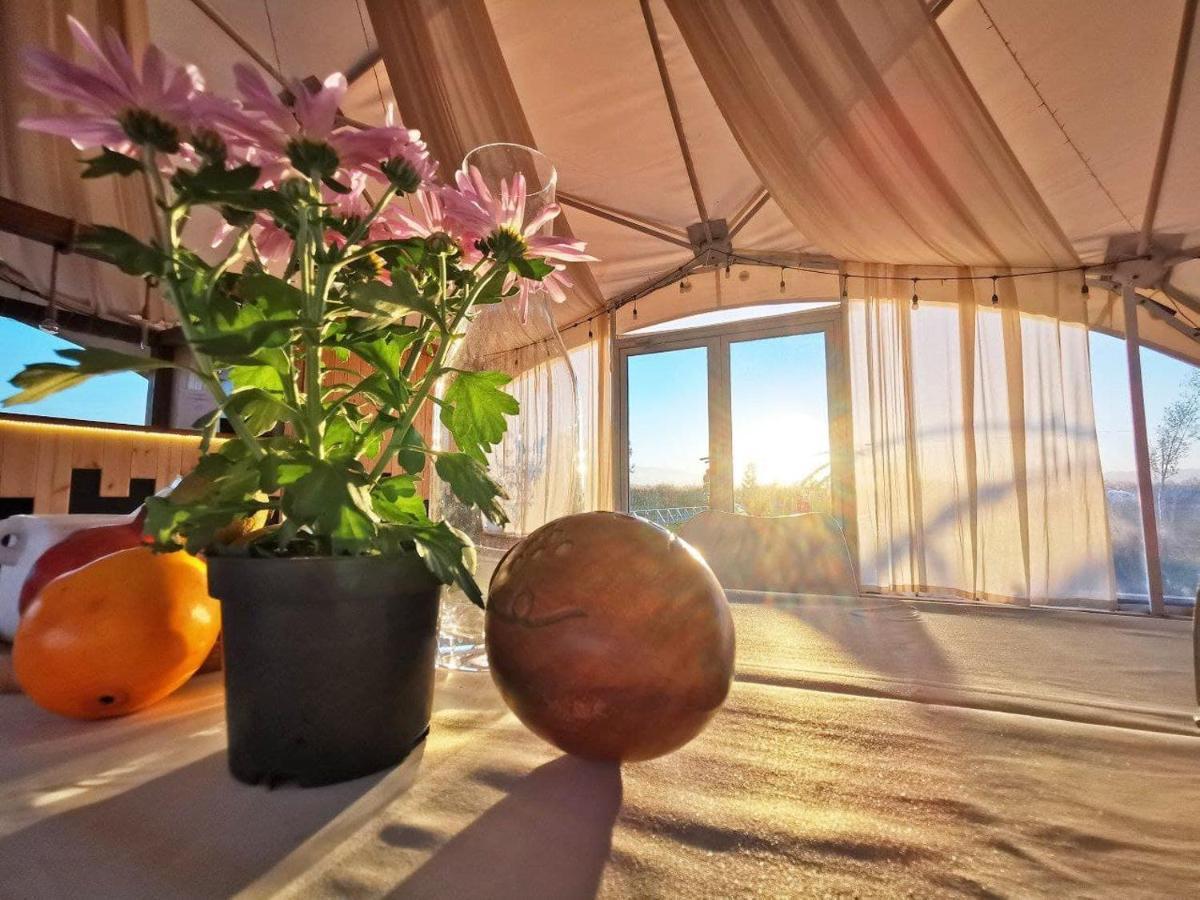 Jewelberry Glamping Hotel Tbilisi Mtsʼkhetʼa Екстериор снимка